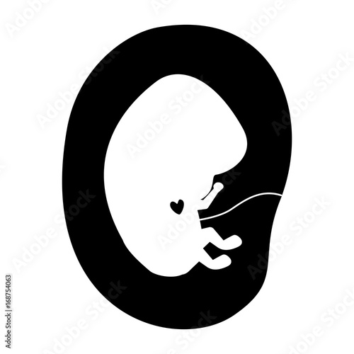 black silhouette of side view fetus human embryo growth in placenta