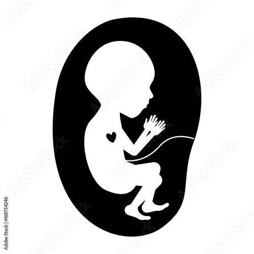 black silhouette of side view fetus human growth in placenta semestrer