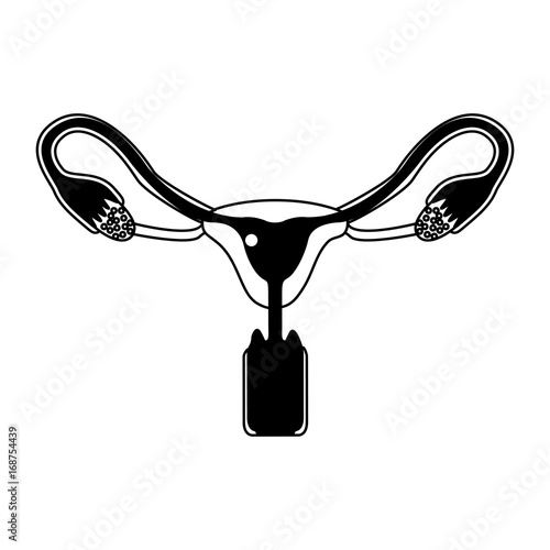 black silhouette of female reproductive system ovaries with fertilized ovum