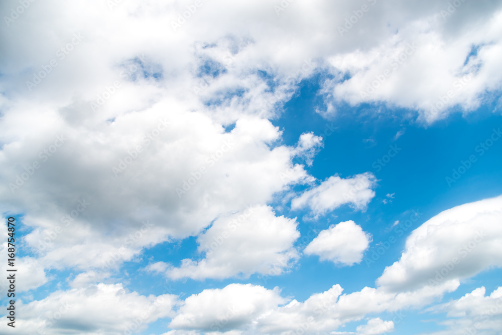 Obraz premium 田舎の風景