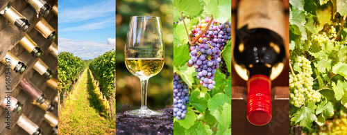 Canvas Print Oenology and wine panoramic photo collage, wine concept