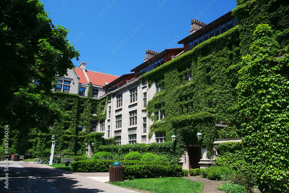 University of Chicago in summer, IL,