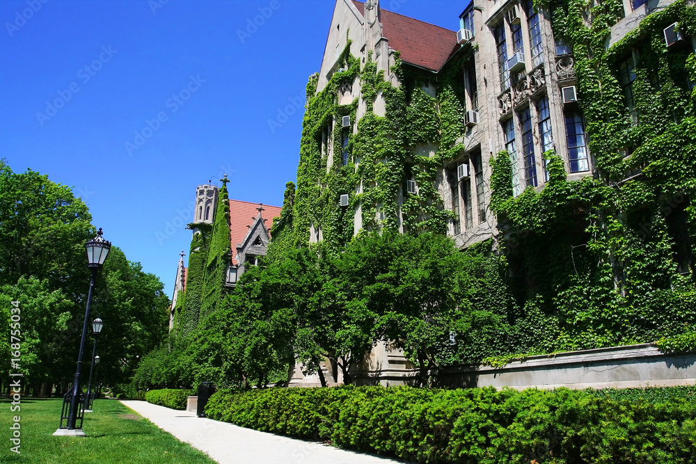 University of Chicago at summer, IL