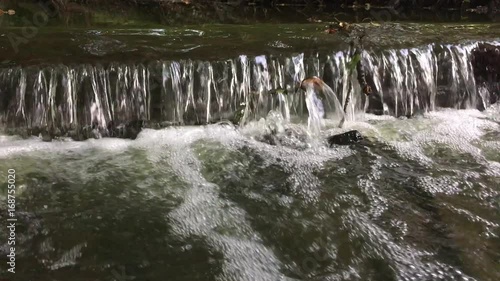 Small weir in forest stream /spring. Ideal for your ecology / environment projects. 1080p 60fps photo