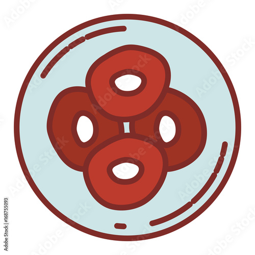 color silhouette with thick contour of front view division of the ovule in cells