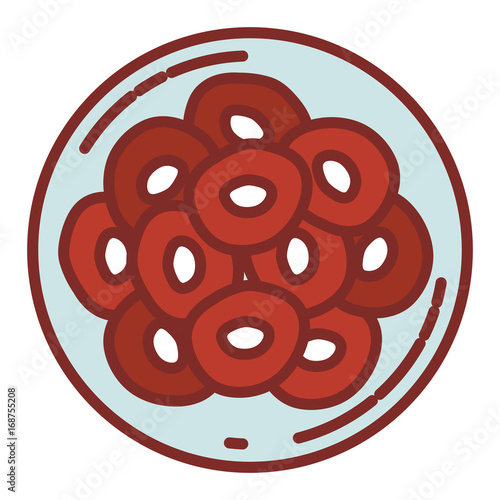 color silhouette with thick contour of front view division of the ovule in several cells