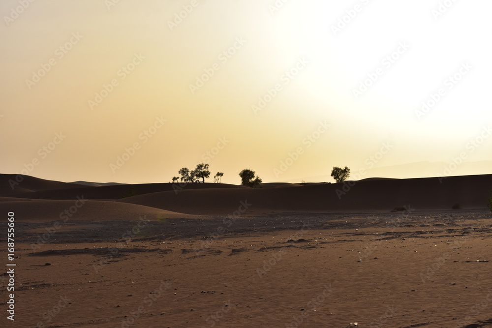 SOLEIL COUCHANT SUR LES DUNES DU SAHARA, MAROC SOLEIL COUCHANT SUR LES DUNES DU SAHARA, MAROC