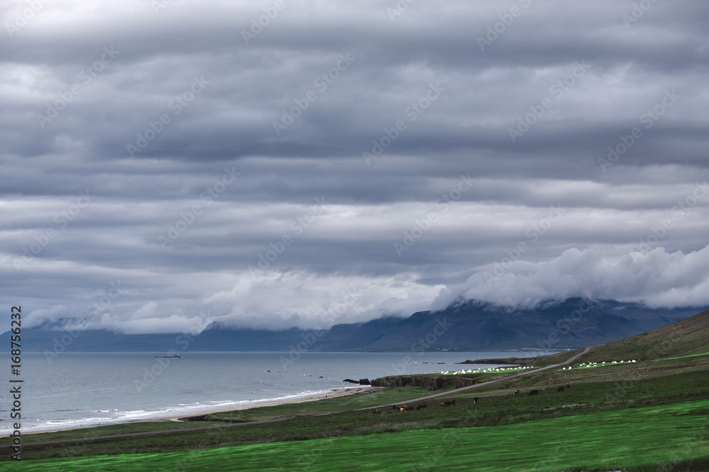 the austere Icelandic landscape with field in the foreground and the mountains and the fjords and the ocean in the background