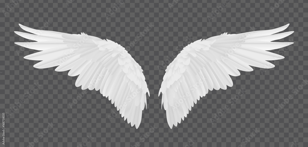 Vector realistic angel wings isolated on transparent background Stock ...