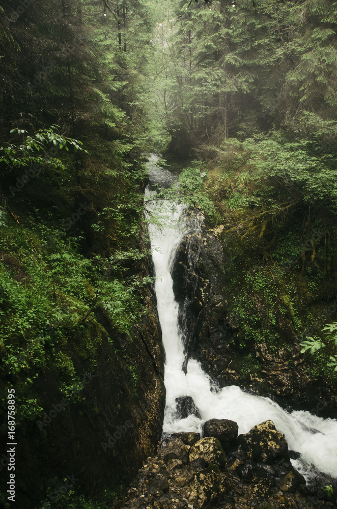 waterfall on natural gorge stream, wilderness landscape with lush vegetation in forest waterfall on natural gorge stream, wilderness landscape with lush vegetation in forest