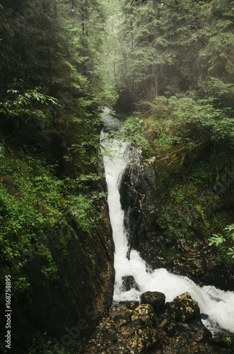 waterfall on natural gorge stream  wilderness landscape with lush vegetation in forest
