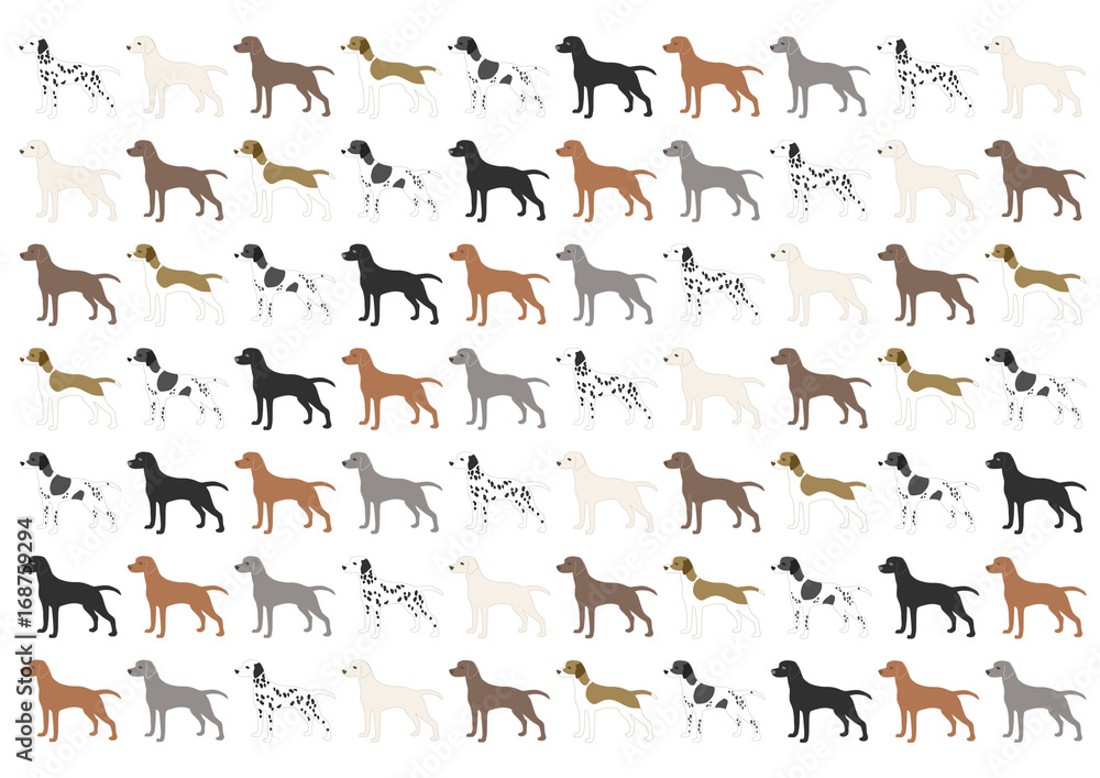 犬 背景イラスト 模様 Stock ベクター Adobe Stock