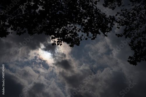 Partial eclipse in New York City viewed through clouds and silhouetted trees