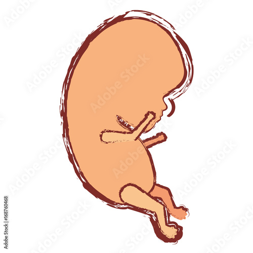 color silhouette with blurred contour of side view fetal growth