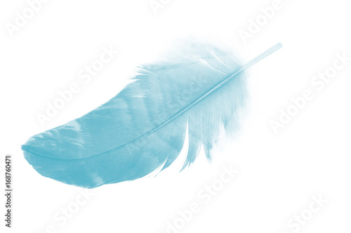 feather color turquoise emerald green on white background