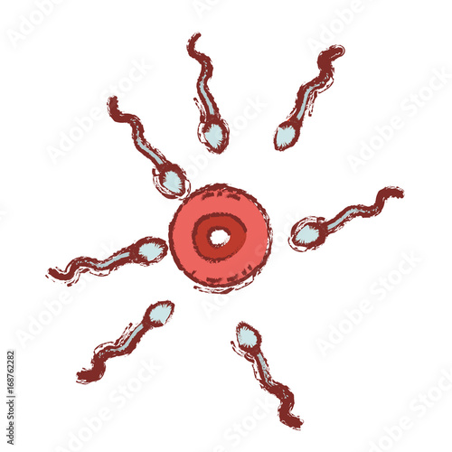 Fotografija color silhouette with blurred contour of human fertilization of sperm and ovule