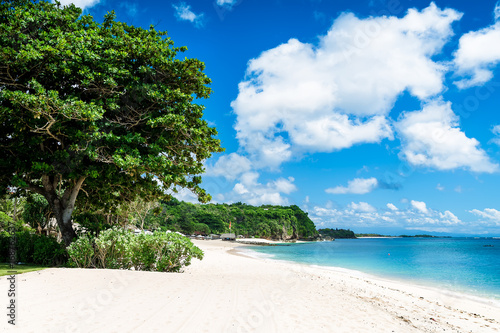 Fototapeta Naklejka Na Ścianę i Meble -  Tropical white sand beach in Bali