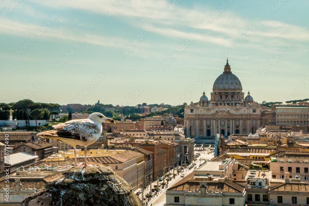 Seagull watching Rome and the Vatican from the roof 2