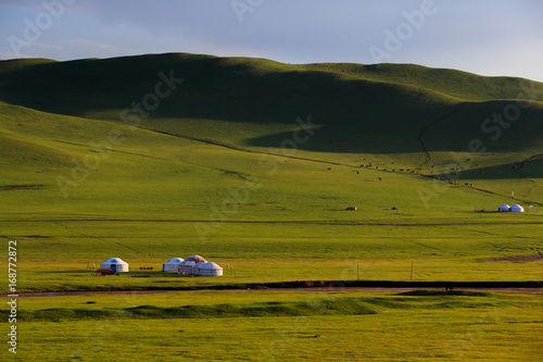 Fototapeta Naklejka Na Ścianę i Meble -  Mongolian traditional houses in immense grassland.They call these tents as ''Yurt''