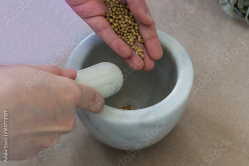 Female hands grind coriander seeds in a stone mortar.