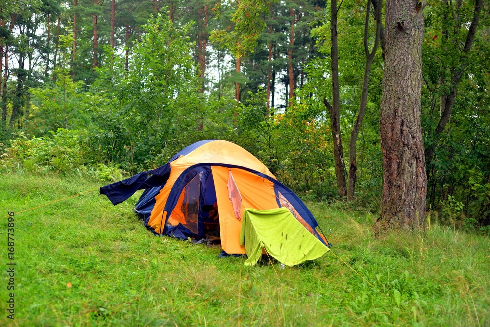 Camping tent in summer forest.