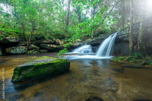 Fototapeta Naklejka Na Ścianę i Meble -  Waterfall in rainforest at National Park, Thailand
