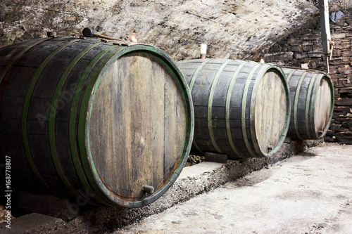 Oak barrels for viticulture in a row / Wooden wine barrels in a basement in valley of Moselle