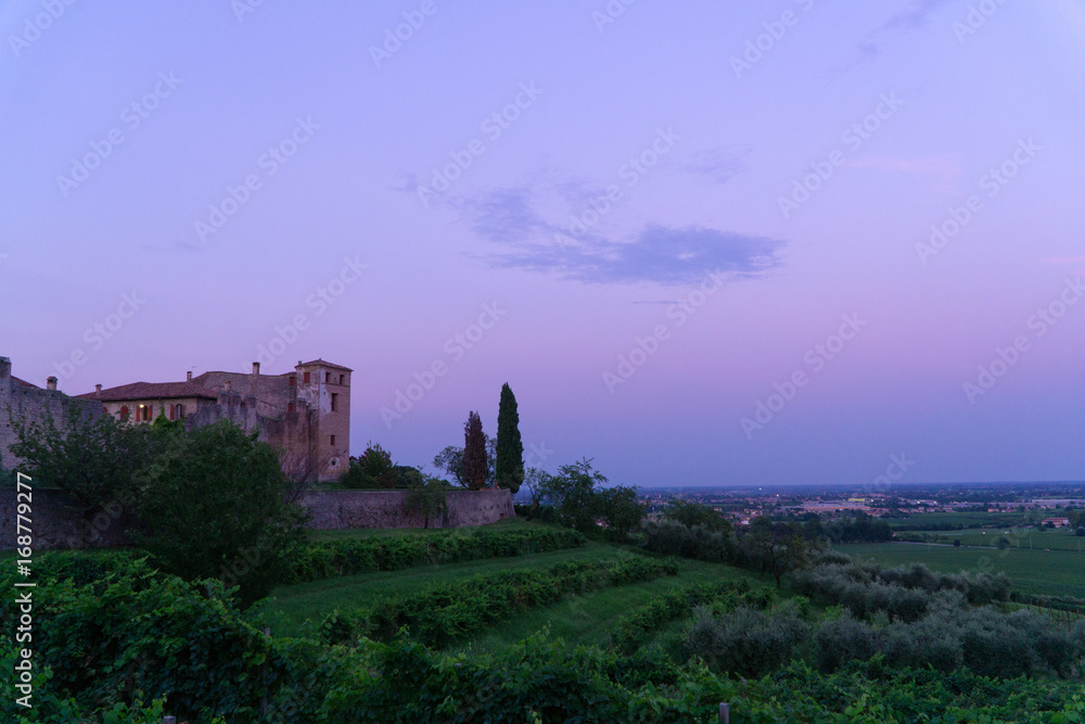 Fototapeta premium Castello