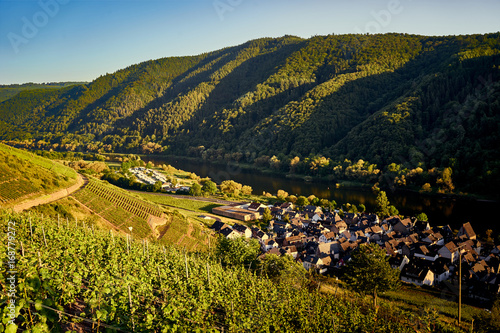 Sunset over vineyards of Moselle / City of Ediger-Eller in valley of Moselle in Germany  - Viticulture in Germany photo