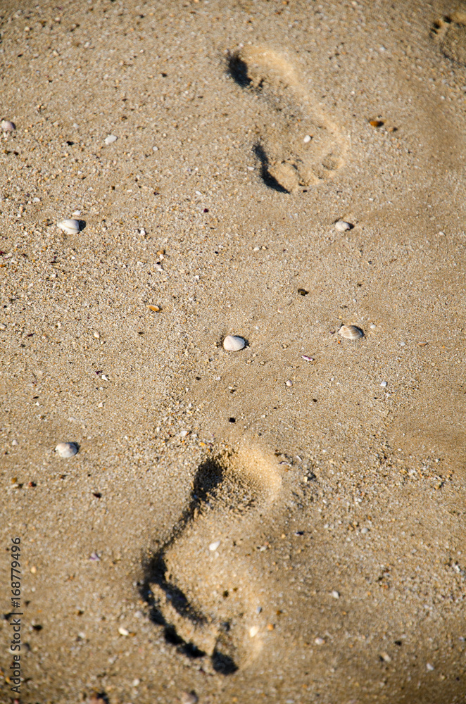 Footsteps in the sand on the beach Footsteps in the sand on the beach