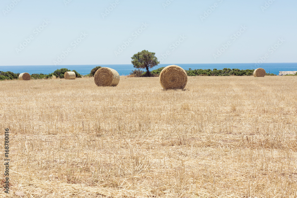 Fototapeta premium Haystack after harvest with blue sea on the background