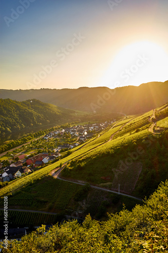 Sunset over vineyards of Moselle / City of Ediger-Eller in valley of Moselle in Germany - Viticulture in Germany