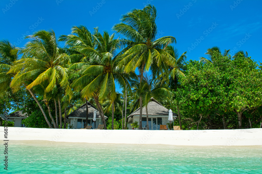 Obraz premium Beautiful sandy beach with sunbeds and umbrellas in Indian ocean, Maldives island