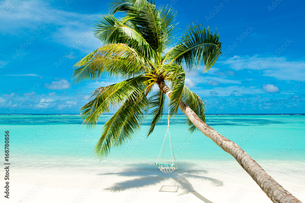 Tropical landscape with swings in the palm tree on the shores of Indian Ocean