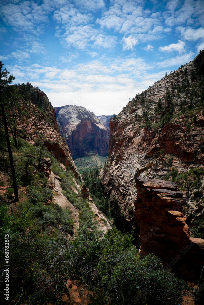 Canyon Framed Mountain Zion 