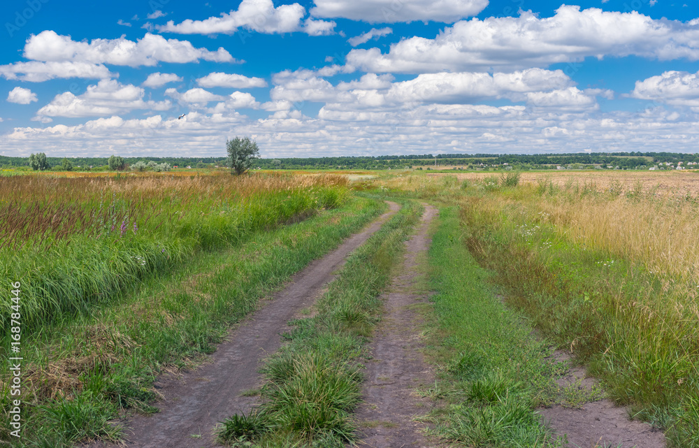 Earth road through meadow to remote village Zeleny Guy near Dnipro city in central Ukraine