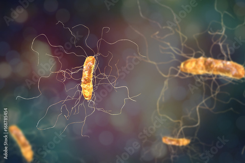 Clostridium difficile bacterium, 3D illustration. Bacteria which cause pseudomembraneous colitis and are associated with nosocomial antibiotic resistance photo