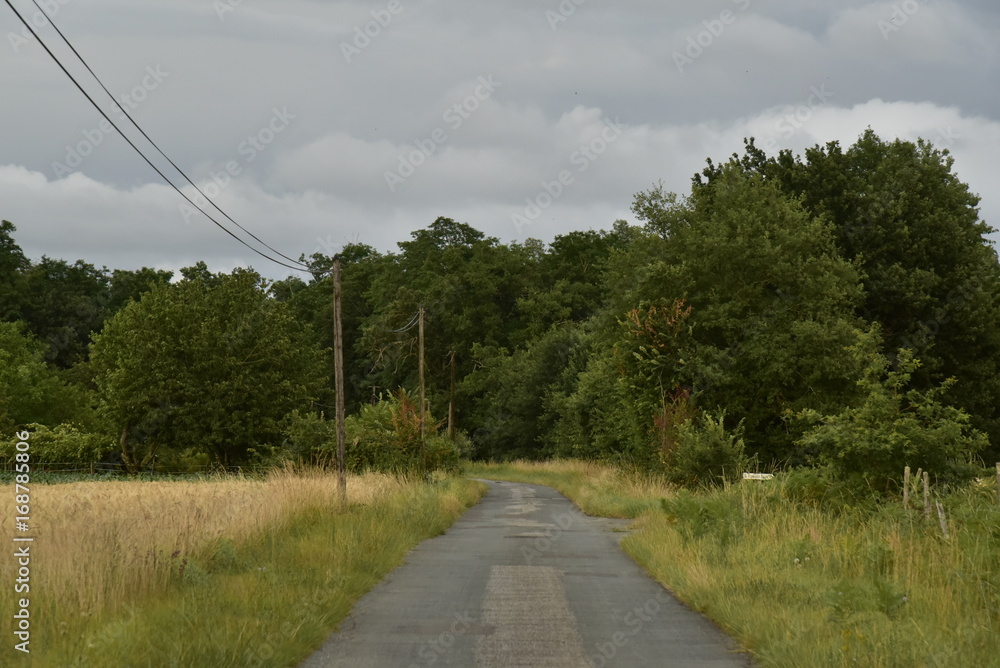 Petite route secondaire au soir vers l'un des bois au sommet du Puy de Versac ,au Périgord Vert Petite route secondaire au soir vers l'un des bois au sommet du Puy de Versac ,au Périgord Vert