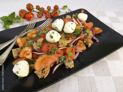 Mediterranean Italian cuisine. Panzanella salad with mozzarella cheese.  photo