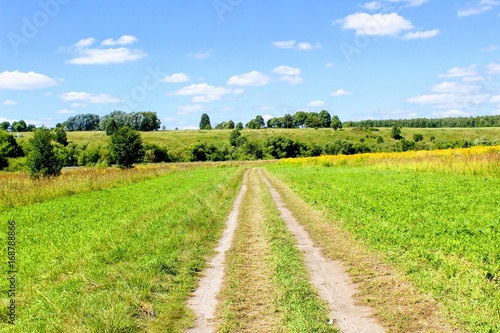 The road in the fields with grass mowed along both sides.