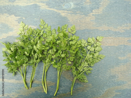 Chervil fresh herbs