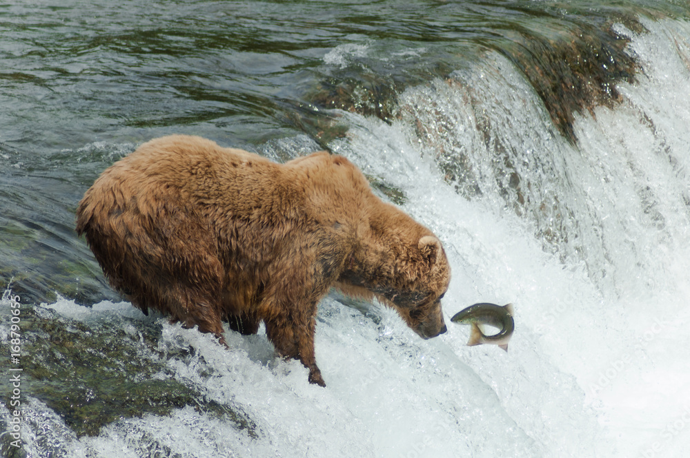 Eye to Eye Staredown