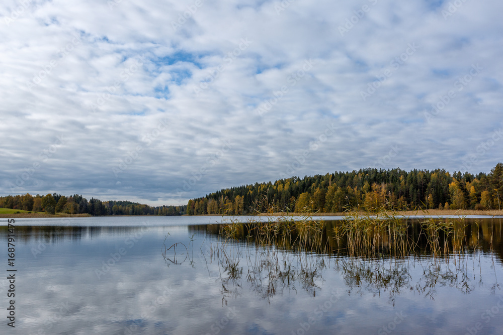 Autumn landscape with forest and lake, Finland, Saimaa