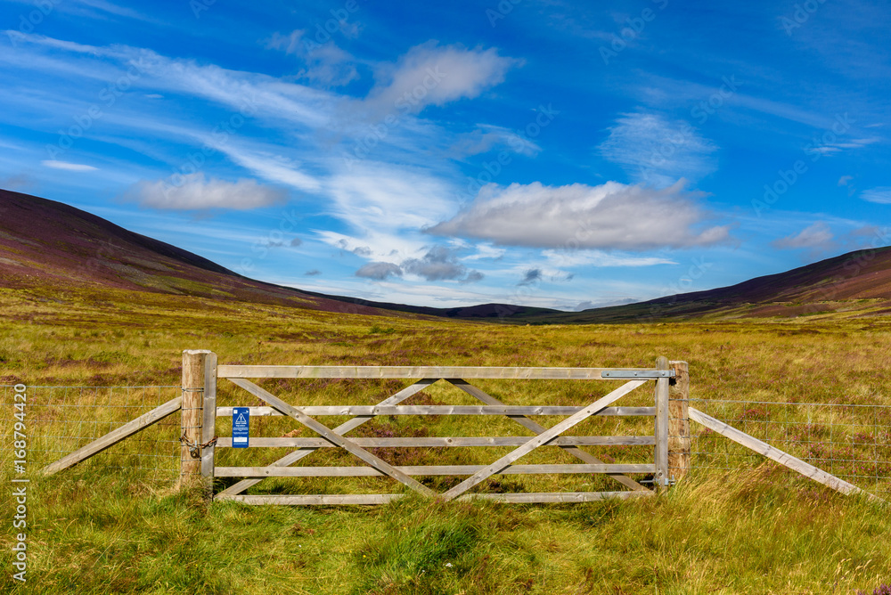 Fototapeta premium View of Cairgorms National Park
