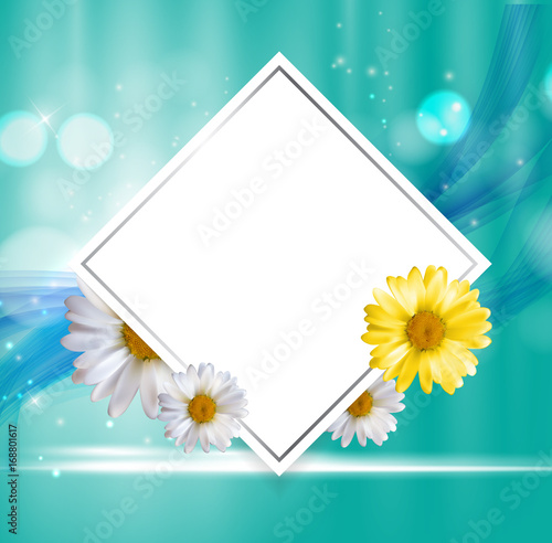 Abstract Natural Floral Frame Background wth Chamomile Flowers. Vector Illustration