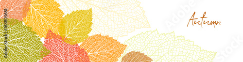Bright autumn background with  leaves 