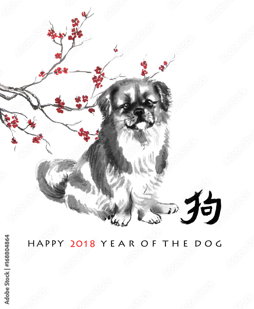 Greeting card Chinese new year. A seated Tibetan spaniel and a branch of  cherry blossom, oriental ink painting. With Chinese hieroglyph 
