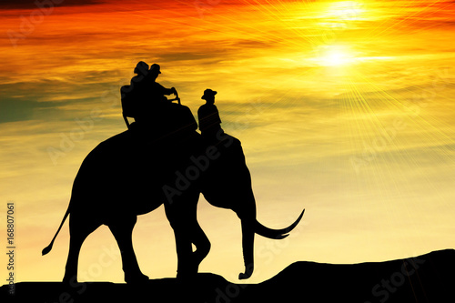 Silhouette elephant and tourist riding