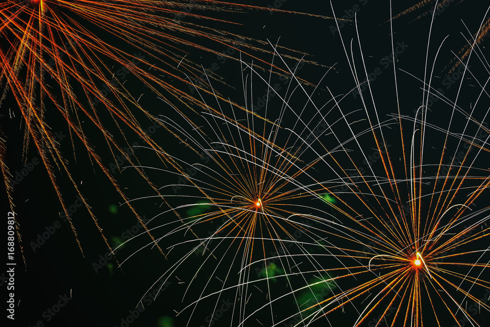 Obraz premium Firework with spider effect. Appears in the sky as a series of radial lines much like the legs of a spider.