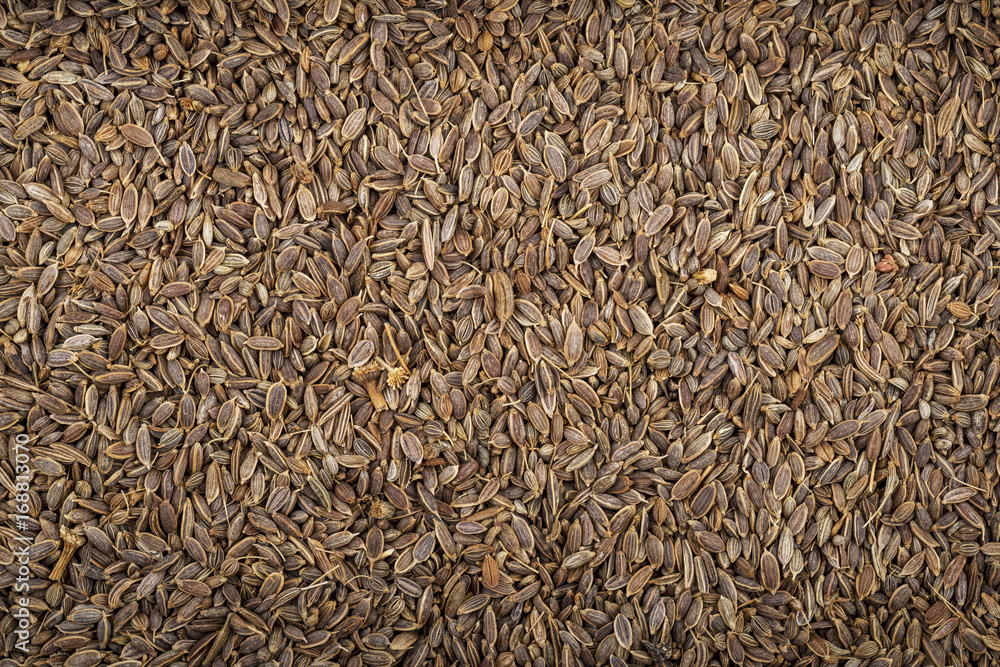 Kummel seeds that occupy the whole pictur